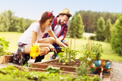 Healthy lawn care in Sanderstead with neat grass and garden borders