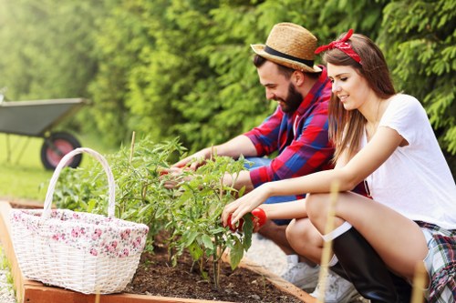 Gardening service terms and conditions introduction