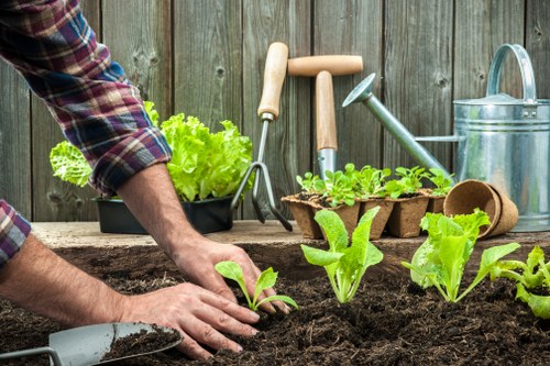 Gardener maintaining a neat residential garden in Sanderstead