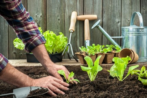 Local lawn mowing care in Sanderstead