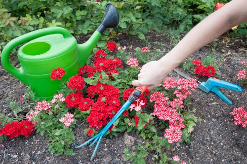 Landscaping in Sanderstead with patio and planting design