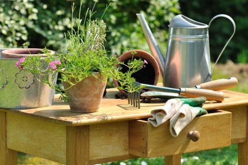 Illustration representing accessible Gardeners Sanderstead content