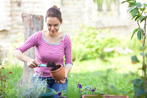 Planning landscape gardening in Sanderstead with paths and planting beds