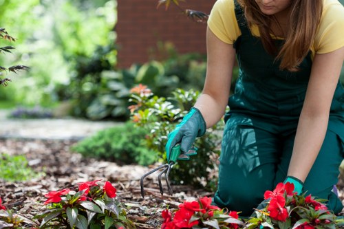 Zero-tolerance modern slavery commitment for Gardeners Sanderstead