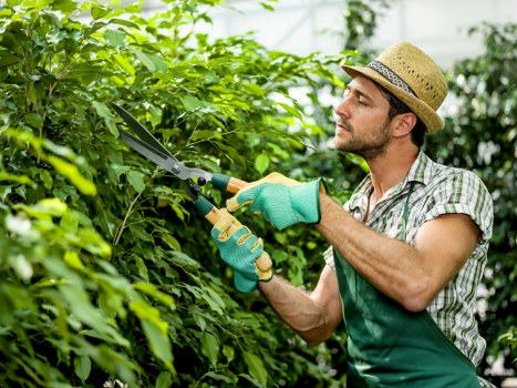 A gardening team assessing work quality and service concerns