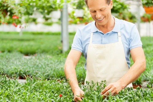 Gardeners in Sanderstead maintaining a welcoming back garden