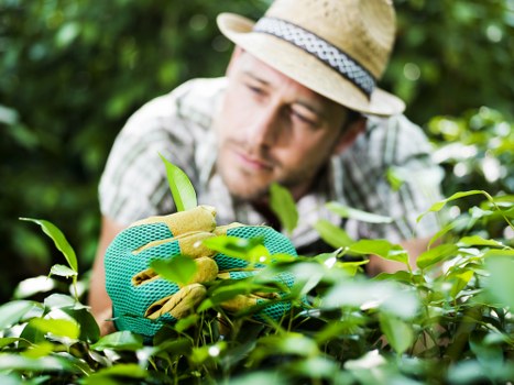 Supplier audit process for Gardeners Sanderstead modern slavery controls