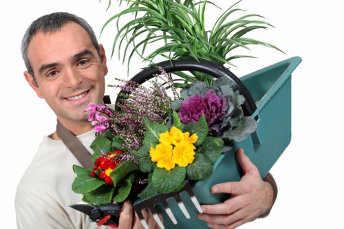 Professional lawn care in Sanderstead for a tidy and green garden