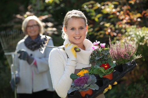 Professional garden care in Sanderstead focused on neat structure and healthy growth