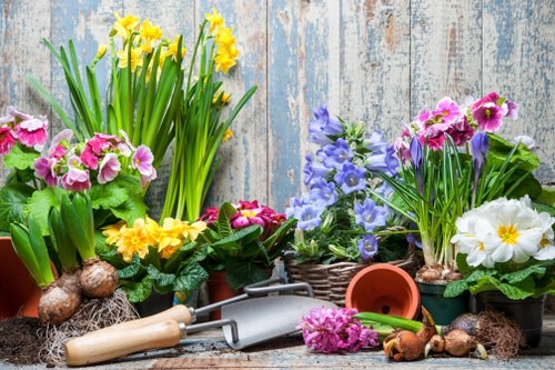 Skilled gardeners shaping a mature garden in Sanderstead