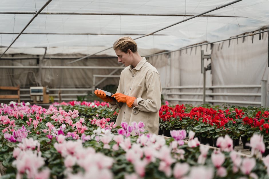 Croham Hurst garden maintenance experts in Sanderstead