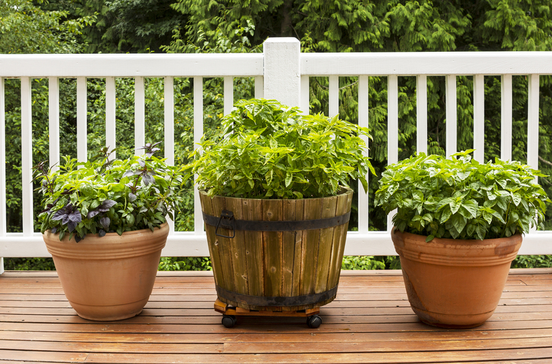 garden lawn